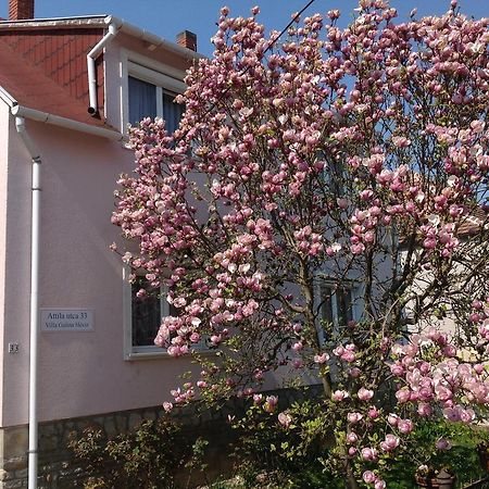 Villa Galina Hévíz Exteriér fotografie