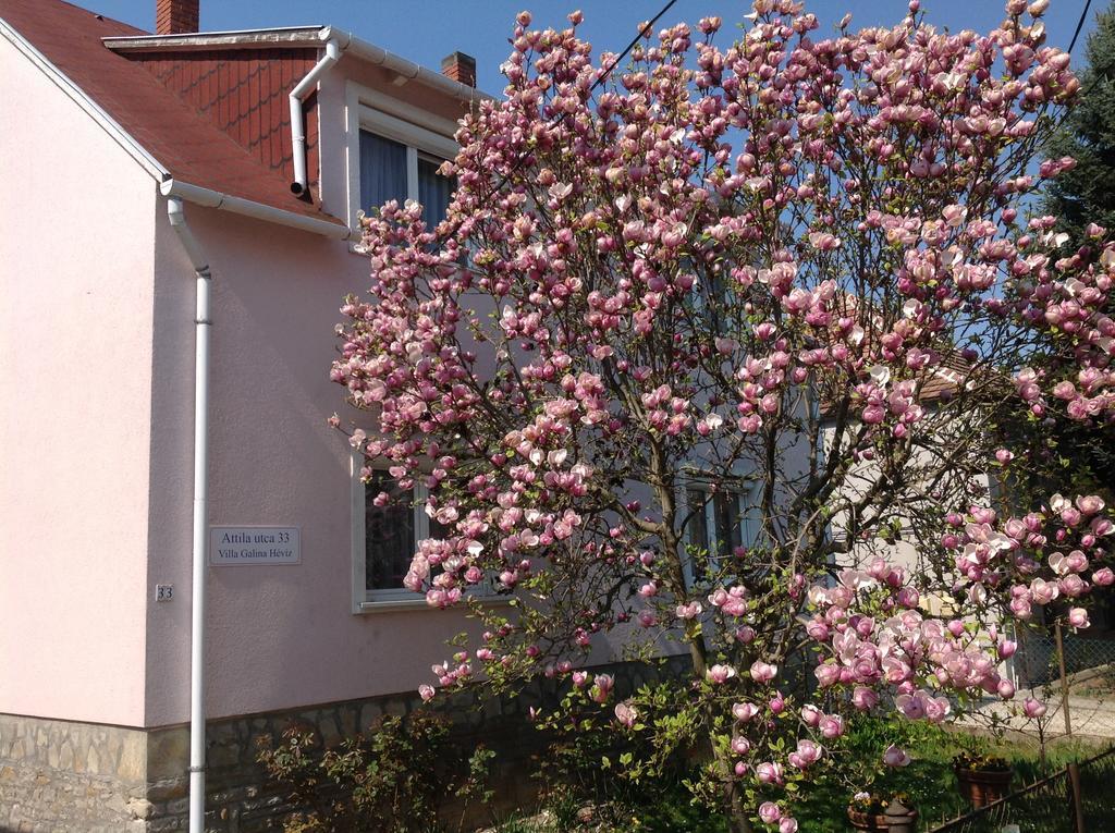 Villa Galina Hévíz Exteriér fotografie